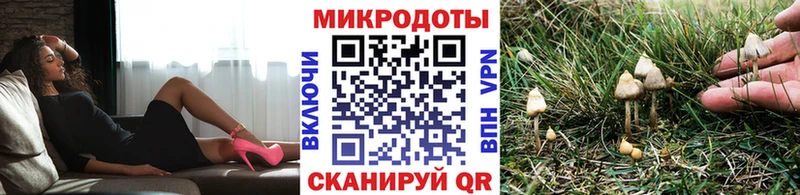 Галлюциногенные грибы ЛСД  купить   Курганинск 