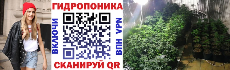 Бошки Шишки сатива  сколько стоит  Курганинск 
